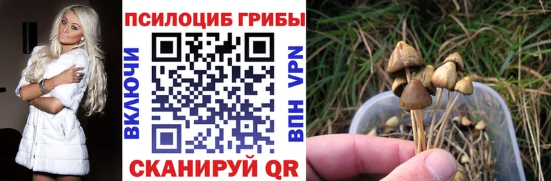 Галлюциногенные грибы ЛСД  Ирбит 